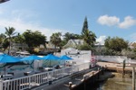 resIMG_20190610_084556_0677.JPG